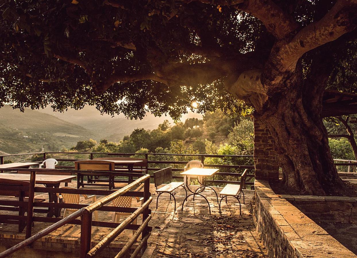 Casale I Cirillo Bed & Breakfast Rutino Bagian luar foto