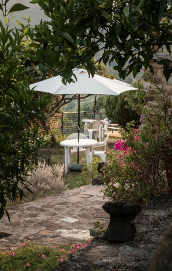 Casale I Cirillo Bed & Breakfast Rutino Bagian luar foto
