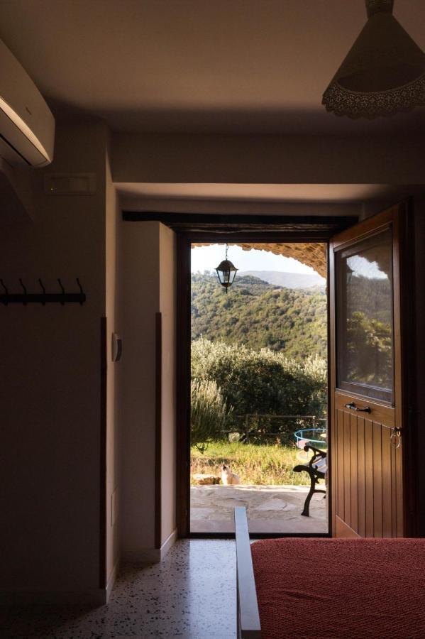 Casale I Cirillo Bed & Breakfast Rutino Bagian luar foto
